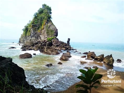 Pariwisata Provinsi Jawa Tengah Artikel Pantai Di Kebumen Yang