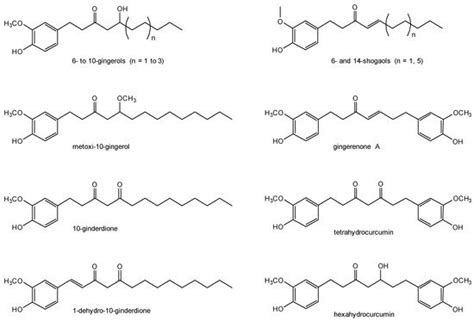 Ginger Encyclopedia Mdpi