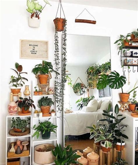 Creative Hanging Plants Ideas For Indoor Wittyduck In