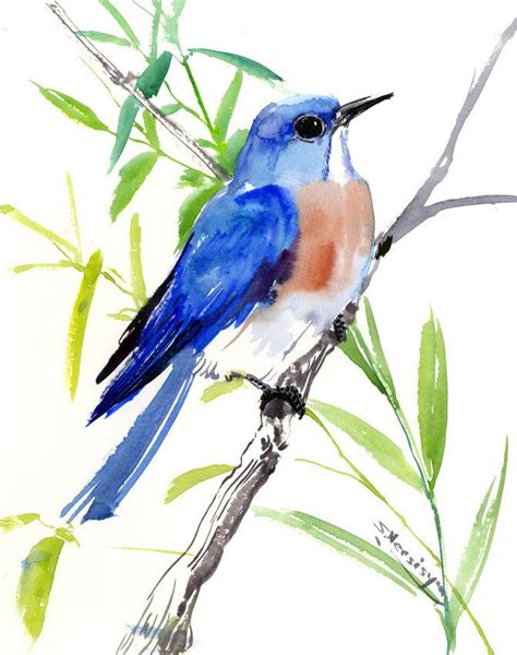 Watercolor Art Bluebird Artwork Eastern Bluebird Original Watercolor