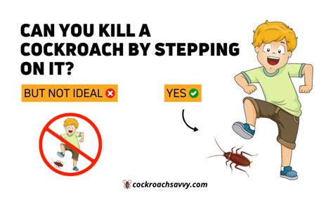 Can you kill a cockroach by stepping on it? | Yes, But Depends on...