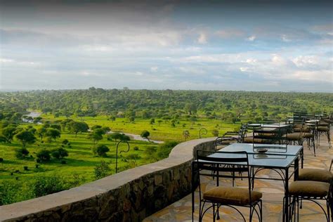 Tarangire Safari Lodge Your Ultimate Safari Experience In Tanzania