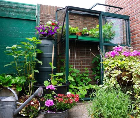 Quelles Plantes Du Jardin Souffrent Du Froid En Hiver Et Comment Les