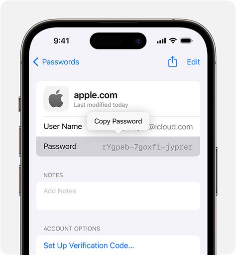 Find Saved Passwords And Passkeys On Your Iphone Apple Support