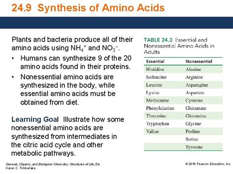 Synthesis Of Amino Acids Plants And