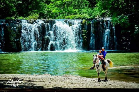 Africa Safari Adventure Park Day - Tour Guanacaste, bringing Costa Rica ...