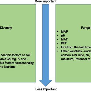 Abiotic and biotic factors affecting soil bacterial and fungal... | Download Scientific Diagram