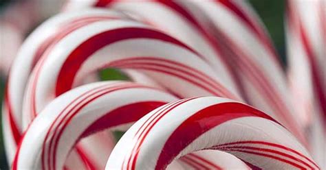 Candy Cane~