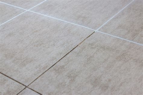 How To Clean Ceramic Tile Floors With Ammonia Floor Roma