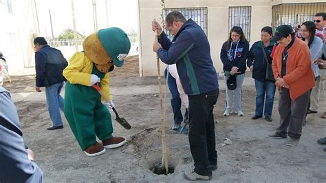 CONAF Atacama celebró su aniversario 44 plantando árboles junto a la