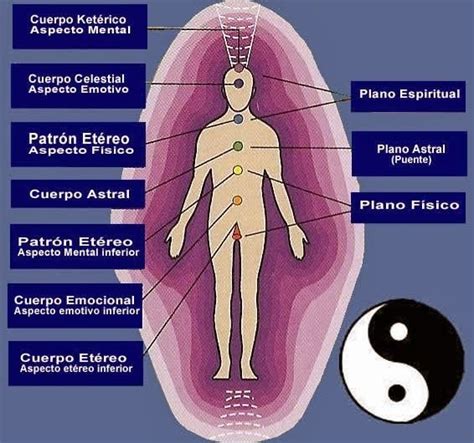 Cuerpos Sut Les Del Ser Humano F Sico Et Rico Emocional Mental Causal