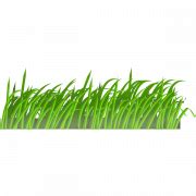 Grass Png Transparent Images