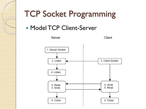 Ppt Pemrograman Jaringan Powerpoint Presentation Free Download Id