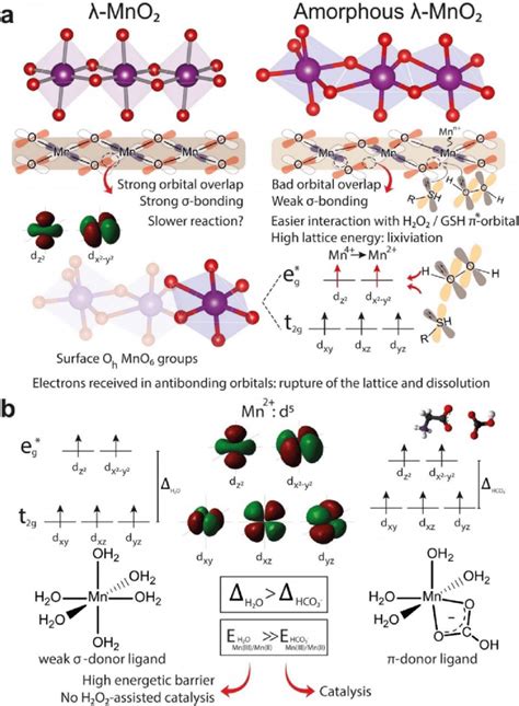 A Differences In The Lattice Between Crystalline And Crystalline Mno