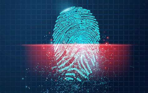 Critical Insight Benefits | RMT Insights