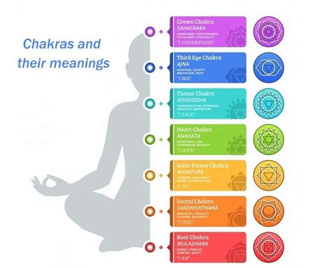 Understanding the Chakras: an Intro to the Tantric Model - Samarali