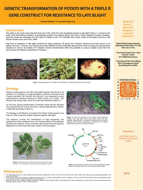 Pdf Genetic Transformation Of Potato With A Triple R Gene Construct