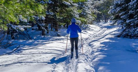 10 Magical Winter Activities To Do In Michigan This Season