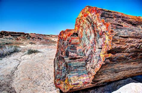 The Indigenous History of Petrified Forest National Park | RVshare