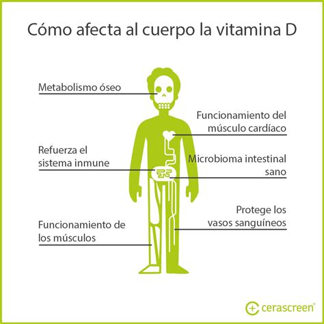 Top 10 Falta De Vitamina D Sintomas 2022