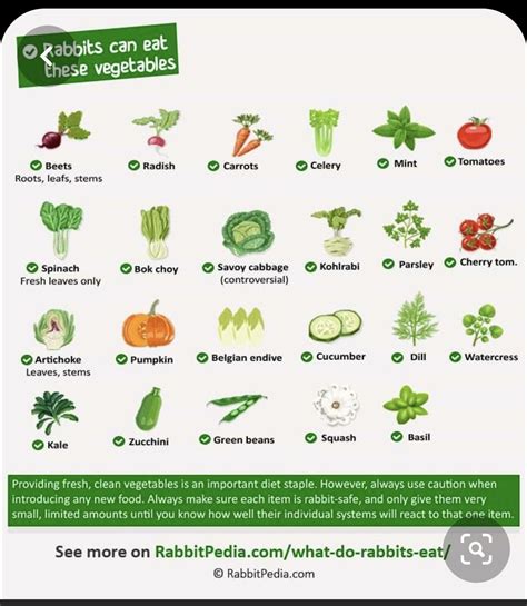 Best How To Perform A Vent Check Or Sex Your Baby Rabbits The Art Of Acre Artofit