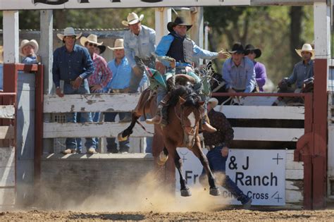 Record crowds attend 2023 rodeo - SanBenito.com | Hollister, San Juan ...