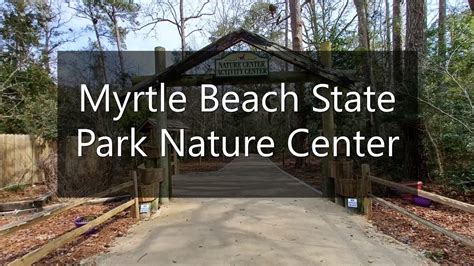 Myrtle Beach State Park Nature Center Youtube