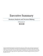 Neechie Gear Executive Summary Business Analysis And Decision Making