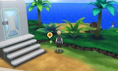 Vers la Jungle Sombrefeuille Astuces et guides Pokémon Soleil Lune