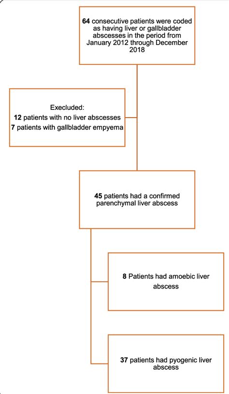 Flowchart Showing Selection Of Patients With Liver Abscesses Included Download Scientific