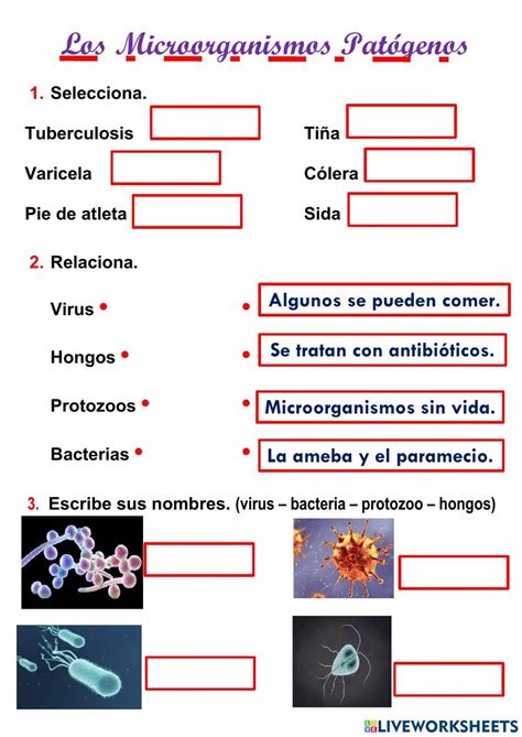 Actividades De Para Quinto Grado