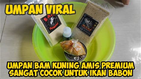 Pakai Umpan Bam Amis Kuning Premium Feat Essen Srikandi Memang Menggoda