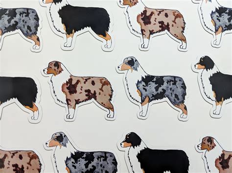 Black Tri Australian Shepherd Magnet - Etsy Israel