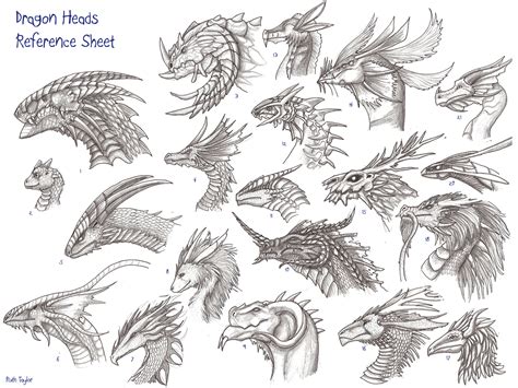 Dragon heads reference sheet by archir on Newgrounds