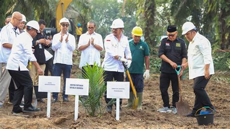 Berita Sawit Mentan SYL Dorong Peremajaan Sawit Dan Perkebunan