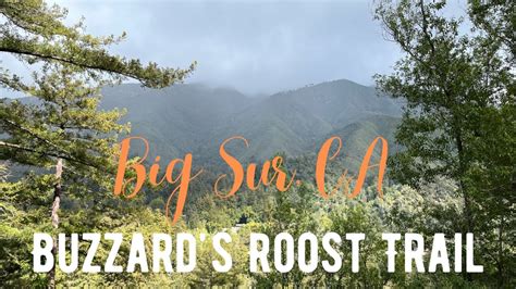 Big Sur Hiking Buzzard S Roost Trail YouTube