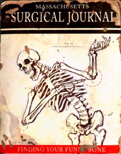 Massachusetts Surgical Journal Wiki Fallout Amino