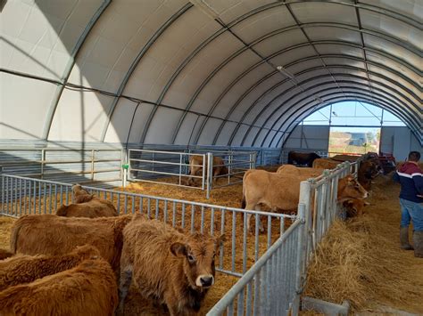 Beef Cattle Housing Shelterall