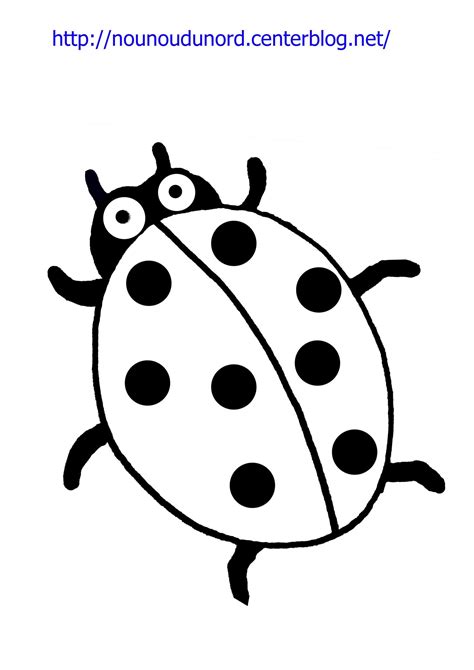 Coloriage Coccinelle Dessin Par Nounoudunord