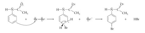 Solved During The Bromination Of Acetanilide How Does Course Hero