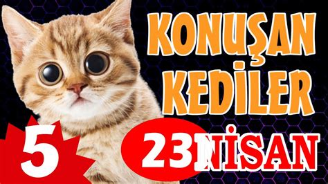 Konuşan Kediler 5 23 Nisan Özel Komik Kedi Videoları YouTube