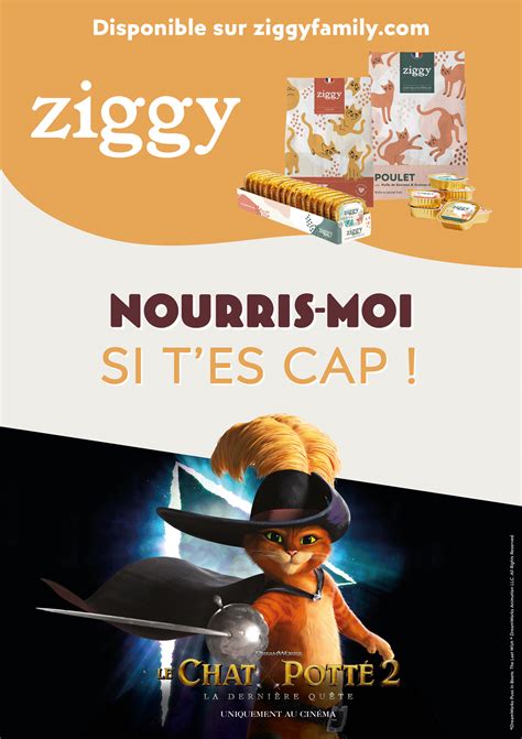 Ziggy Campagne Le Chat Potté 2 La dernière quête on Behance