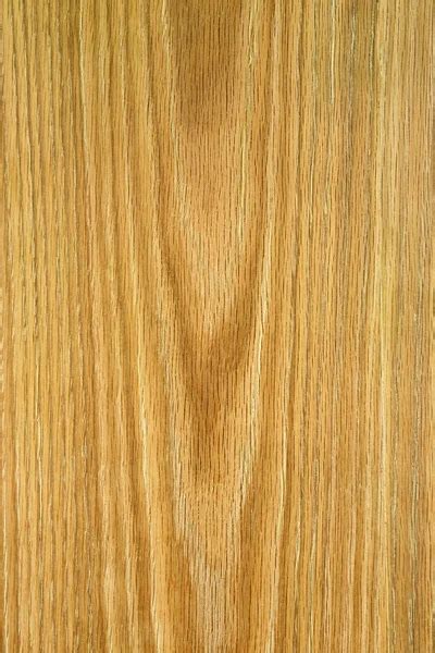 Oak wood texture — Stock Photo © auriso #108561798