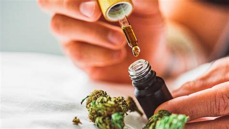 Anvisa Aprova Produto De Cannabis Com Thc Acima Do Limite Anterior