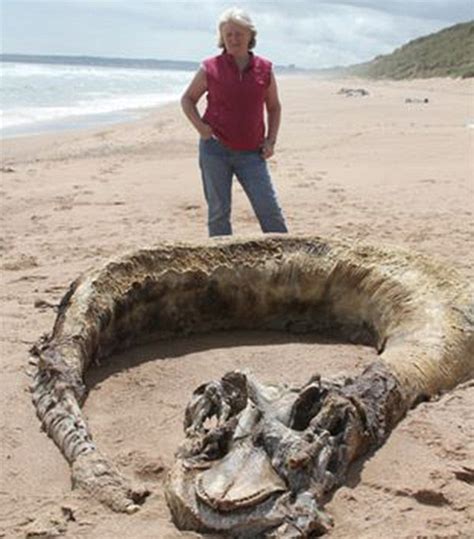 As A Mysterious Skeleton Is Washed Up On A British Beach Do Sea