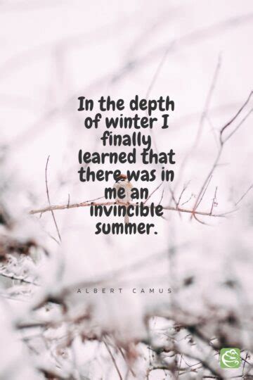 50 Most Memorable Winter Quotes You Will Surely Love Reading!