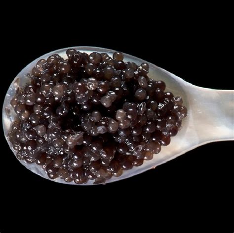 Pearl Caviar Spoon