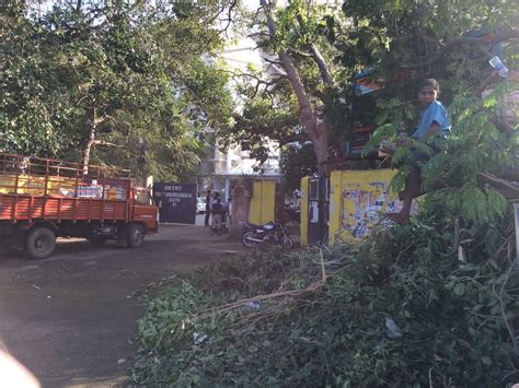 Uprooted Trees In Front Of The Gate At MA Chidambaram Stadium