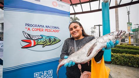 Programa Nacional A Comer Pescado PNACP Plataforma Del Estado Peruano