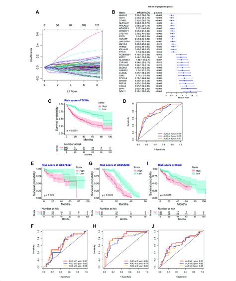 Construction And Validation Of The Risk Score Model For The Os Of Hcc